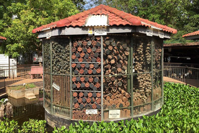 Cambodia Landmine Museum