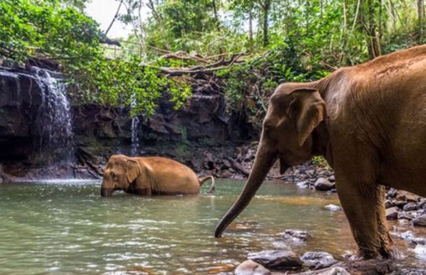 Mayura Puchrey Zoo