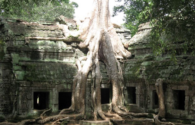 Ta Prohm Temple